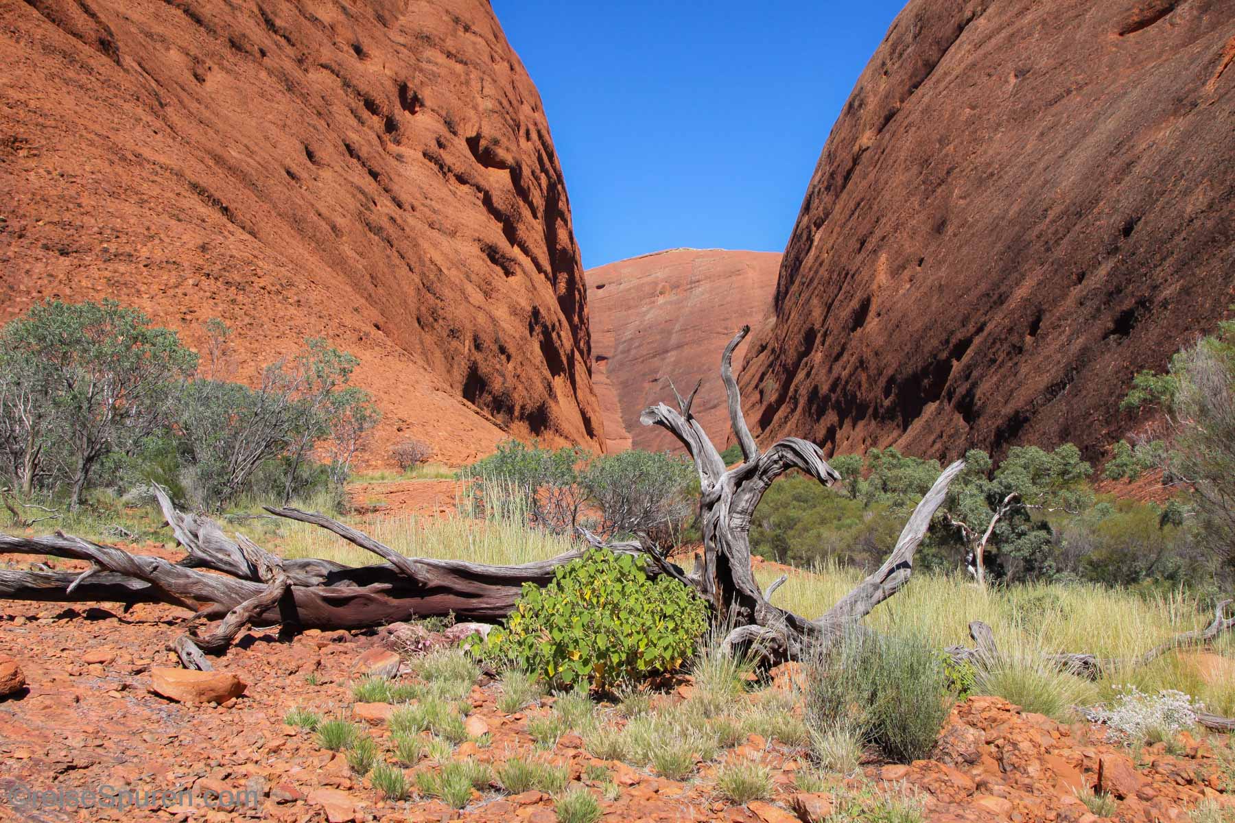 Kata Tjuta (Olgas)