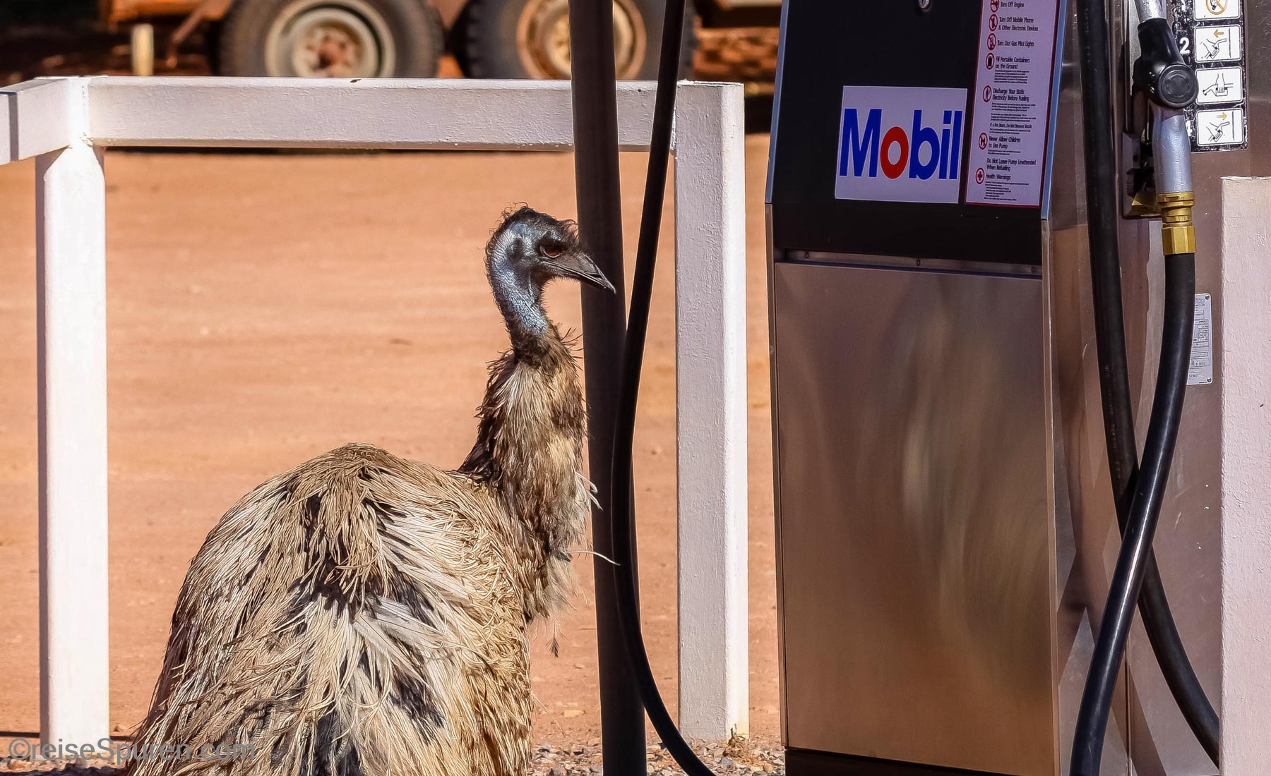 Wie hoch sind die Dieselpreise?