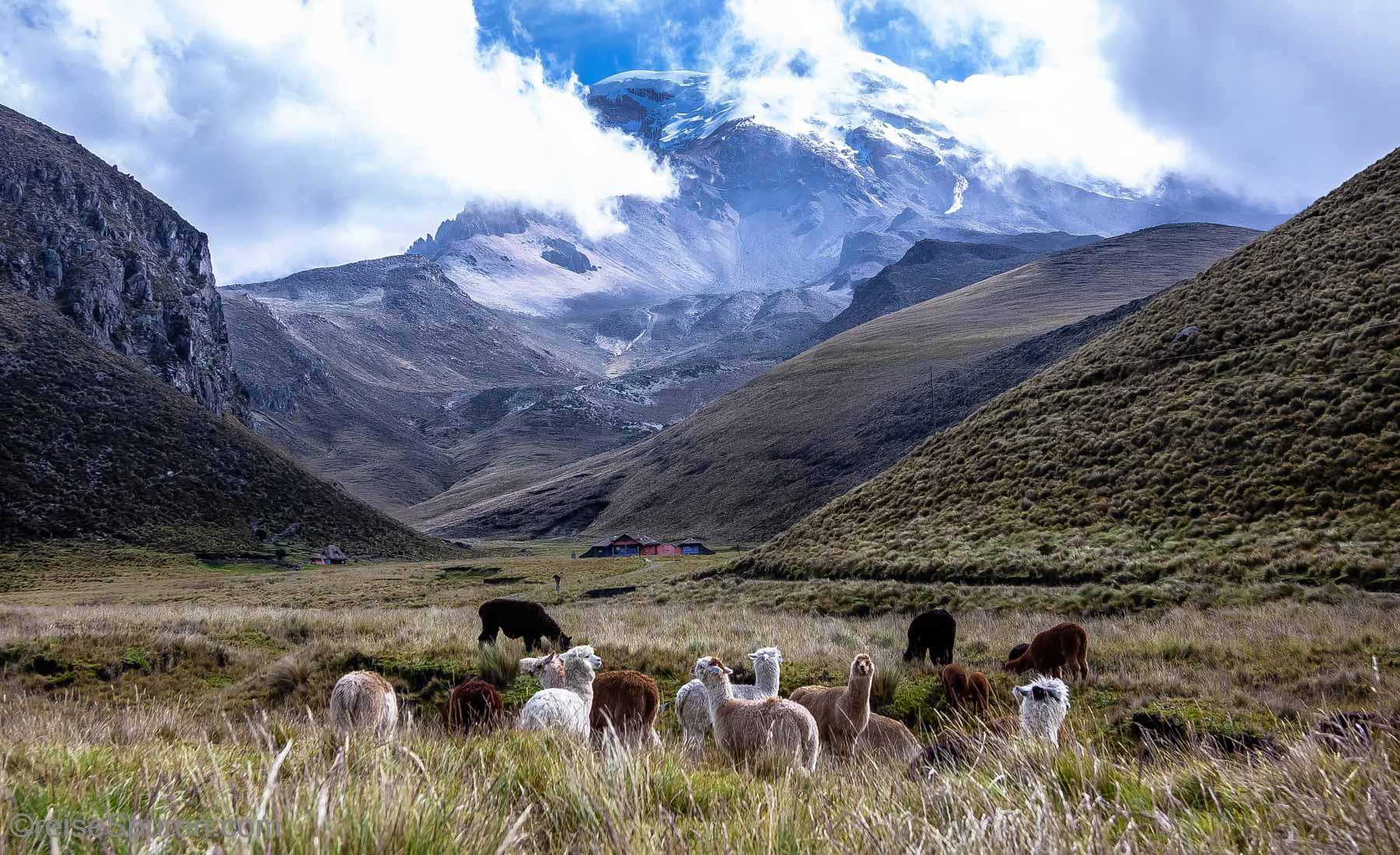 Chimborazo