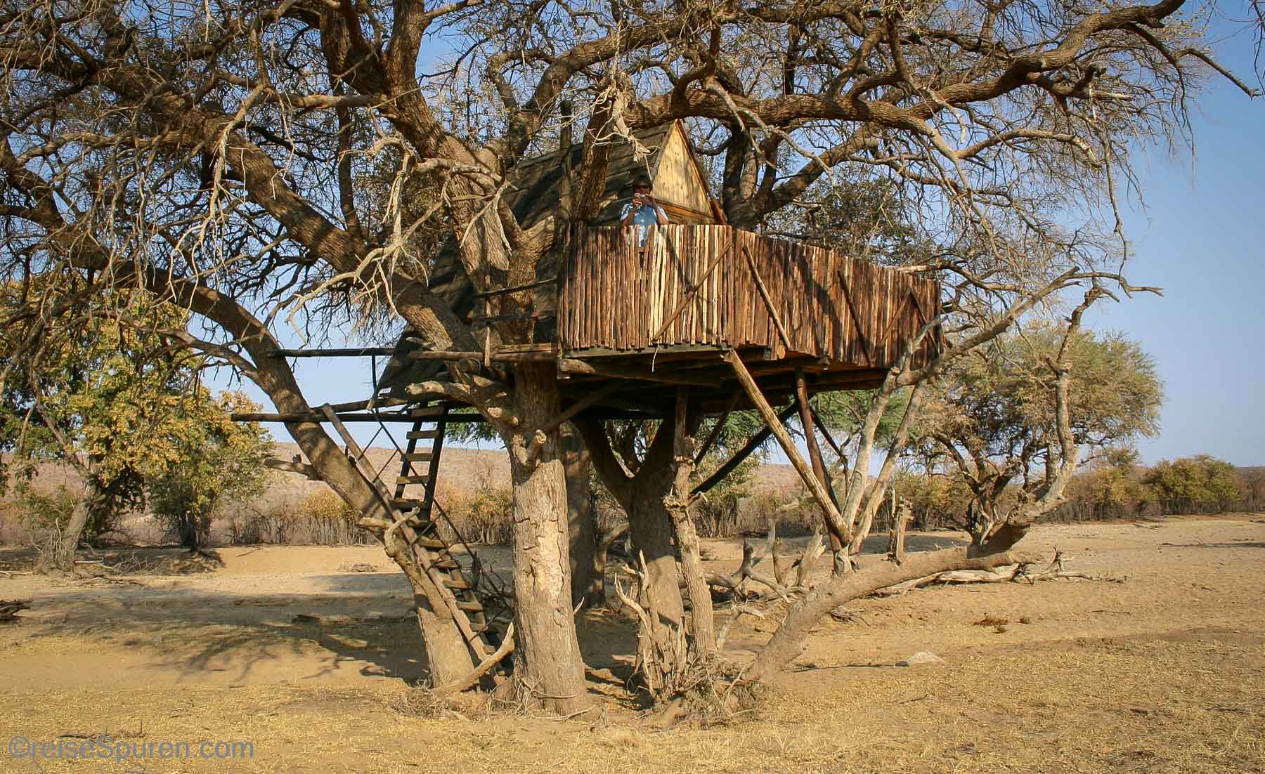Baumhaus für eine Nacht in der Wildnis