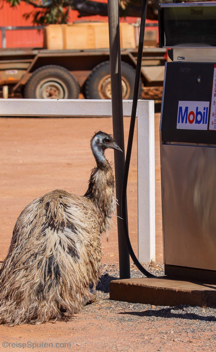 Was kostet heute der Sprit?