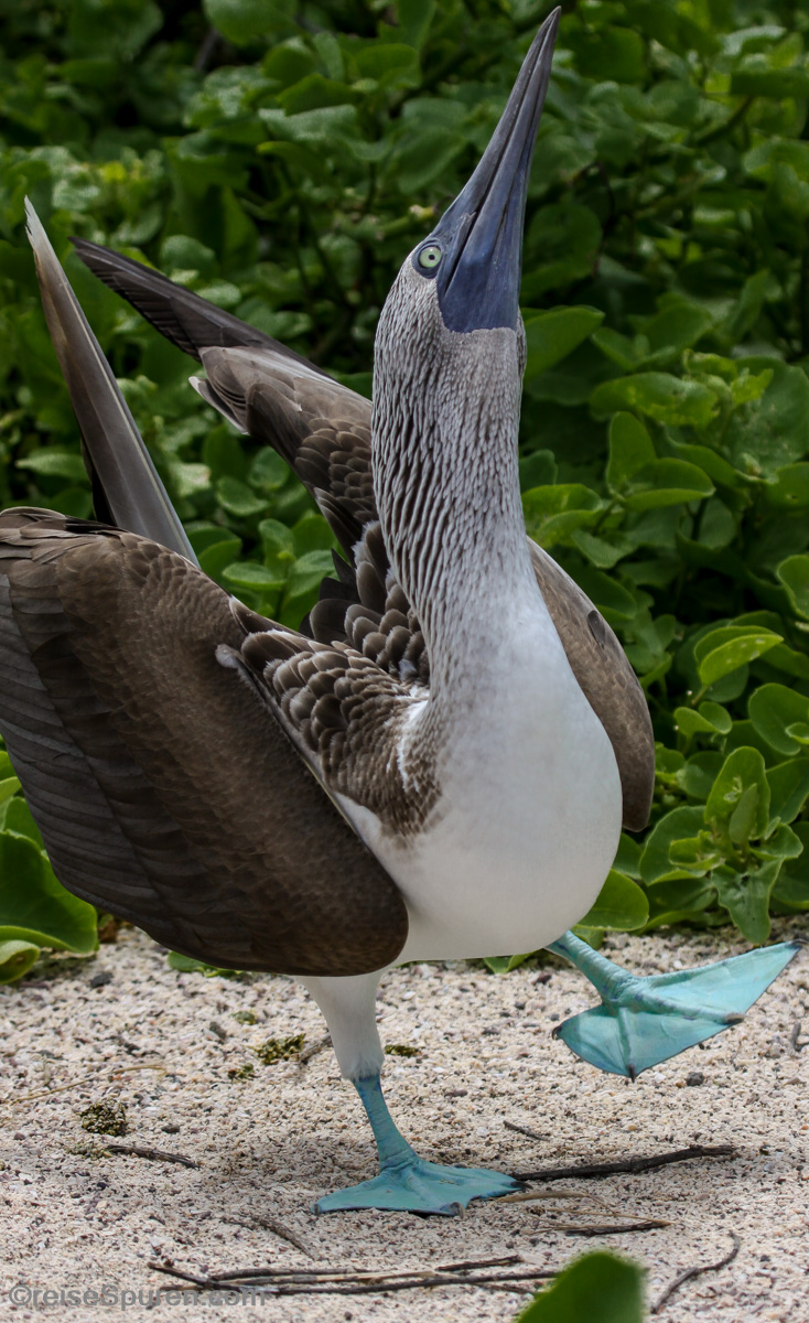 Meine neue Nagelfarbe ... total chic