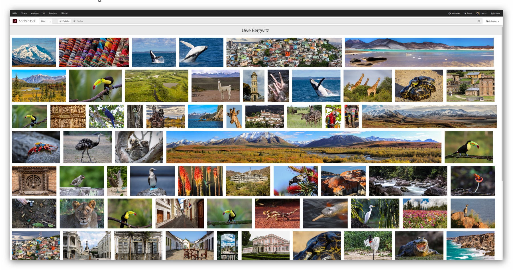 Adobe Stock